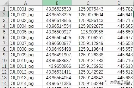 12.webp.jpg
